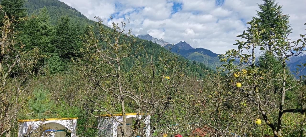 Apple Flower With Balcony And Mountain View 马拉里 外观 照片